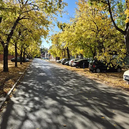 Capital Town Vk 14 דירה *